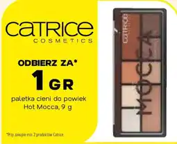 Drogerie Natura Catrice paleta cieni do powiek Hot Mocca oferta