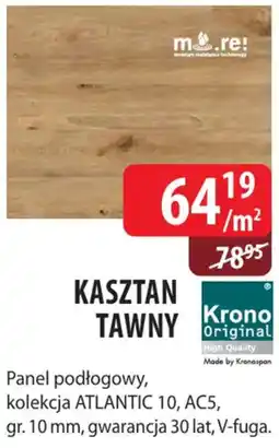 DDD Kasztan Tawny Krono Original oferta