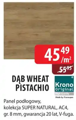 DDD Dąb Wheat Pistachio Krono Original oferta
