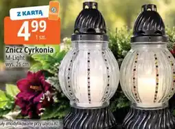 E.Leclerc Znicz Cyrkonia M-Light oferta
