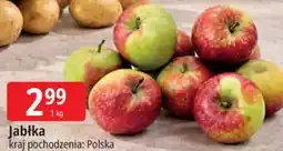 E.Leclerc Jabłka oferta