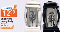 E.Leclerc Znicz Prima czarny/biały M-Light oferta