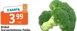 E.Leclerc Brokuł oferta