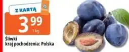 E.Leclerc Śliwki oferta