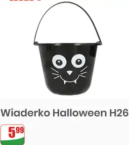 Dino Wiaderko Halloween H26 oferta