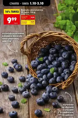 Biedronka Borówka amerykańska oferta