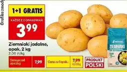 Biedronka Ziemniaki Katarzyna Stoparczyk oferta