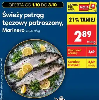 Świeży pstrąg tęczowy patroszony Marinero