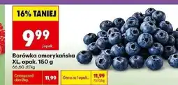 Biedronka Borówka amerykańska oferta