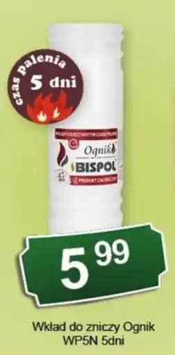 Eden Wkład do zniczy Ognik oferta