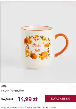 Home&You Kubek Pumprelino oferta