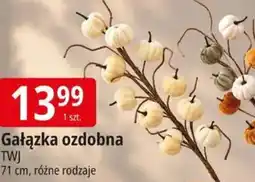 E.Leclerc Gałązka ozdobna oferta
