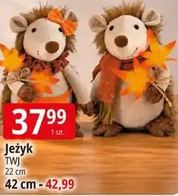 E.Leclerc Jeżyk oferta