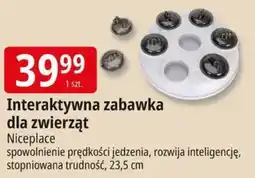 E.Leclerc Interaktywna zabawka dla zwierat oferta