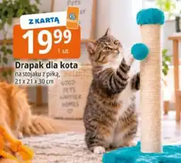 E.Leclerc Drapak dla kota oferta