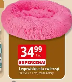 E.Leclerc Legowisko dla zwierząt oferta