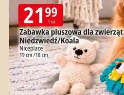 E.Leclerc Zabawka pluszowa dla zwierząt Niedzwiedź/Koala Niceplace oferta