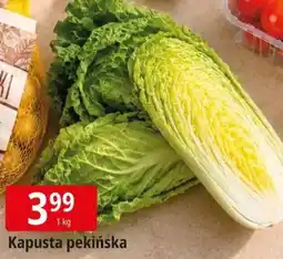 E.Leclerc Kapusta pekińska oferta