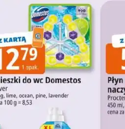 E.Leclerc Nieszkki do wc Domestos oferta