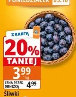 E.Leclerc Śliwki oferta