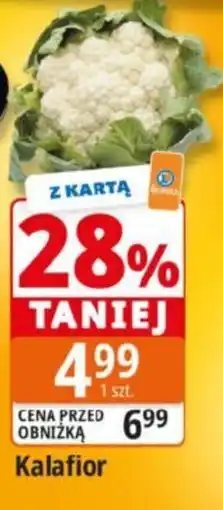 E.Leclerc Kalafior oferta