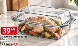 E.Leclerc Naczynie żaroodporne Galicia oferta