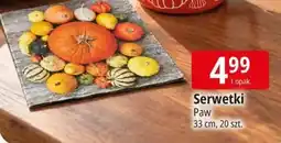 E.Leclerc Serwetki Paw oferta