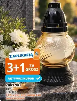 E.Leclerc Znicz 9KT Luks oferta