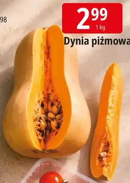 E.Leclerc Dynia piżmowa oferta