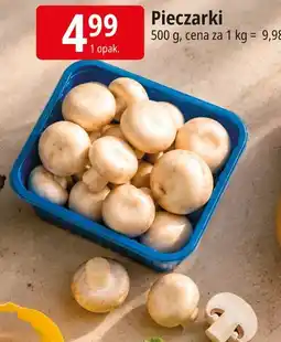 E.Leclerc Pieczarki oferta
