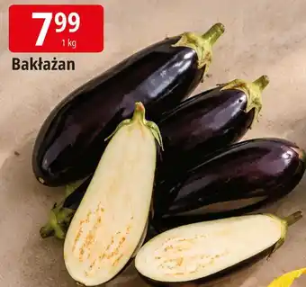 E.Leclerc Bakłażan oferta