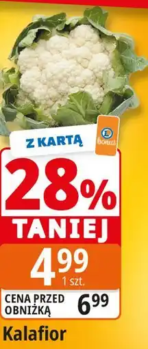 E.Leclerc Kalafior oferta