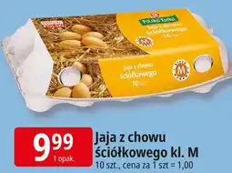 E.Leclerc Jaja z chowu ściółkowego kl. M 10 szt oferta