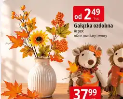 E.Leclerc Gałązka ozdobna Arpex oferta