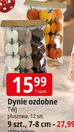 E.Leclerc Dynie ozdobne TWJ oferta