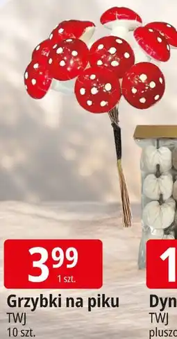 E.Leclerc Grzybki na piku TWJ oferta