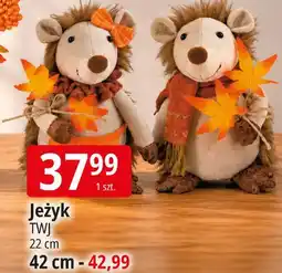 E.Leclerc Jeżyk TWJ oferta