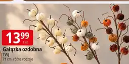 E.Leclerc Gałązka ozdobna TWJ oferta