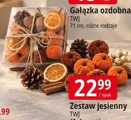 E.Leclerc Zestaw jesienny TWJ oferta