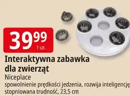 E.Leclerc Interaktywna zabawka dla zwierząt Niceplace oferta