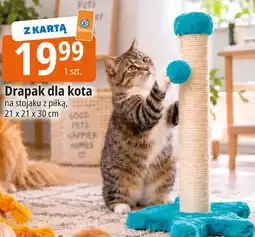 E.Leclerc Drapak dla kota na stojaku z piłką oferta