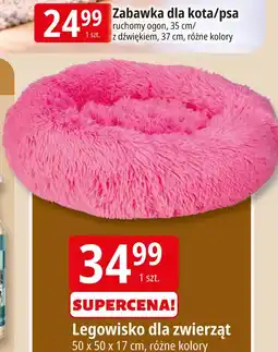 E.Leclerc Legowisko dla zwierząt oferta