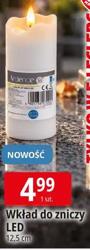 E.Leclerc Wkład do zniczy LED oferta