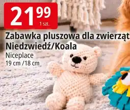 E.Leclerc Zabawka pluszowa dla zwierząt Niedźwiedź/Koala Niceplace oferta