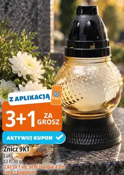 E.Leclerc Znicz 9KT Luks oferta