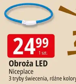 E.Leclerc Obroża LED Niceplace oferta