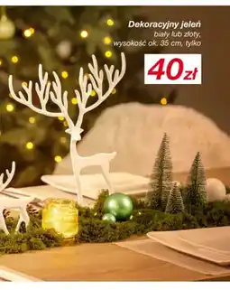 KiK Dekoracyjny jeleń oferta