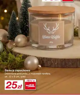 KiK Świeca zapachowa drewniana pokrywka z motywem renifera oferta