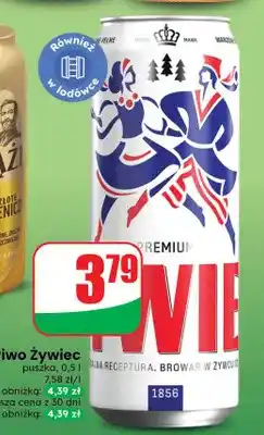 Dino Piwo Żywiec oferta