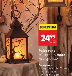 Biedronka Pajęczyna 70 LED lub mata dźwiękowa oferta